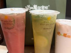 -猫的魔法密林(衣裳街店)