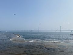 -星海广场