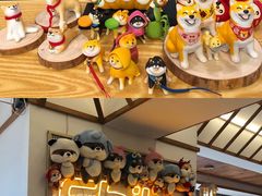 -豆柴町-柴犬主题狗咖(红鼎国际C座店)