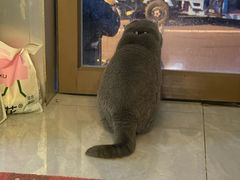 -吹泡·Triphop(棋盘店)