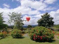 -中国科学院西双版纳热带植物园