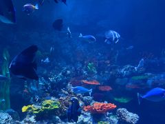 -海合安青岛极地海洋公园