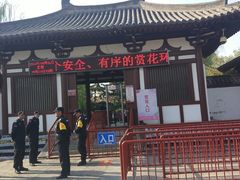 -西安乐游原