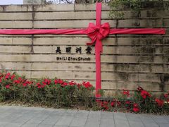 -美丽洲堂
