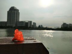 -江南大学(蠡湖校区)