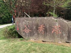 -四明山国家森林公园