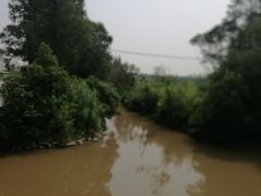 景点-上海长兴岛郊野公园