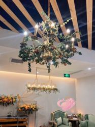 点击看大图 -芳香乐府疗愈空间·SPA·冥想