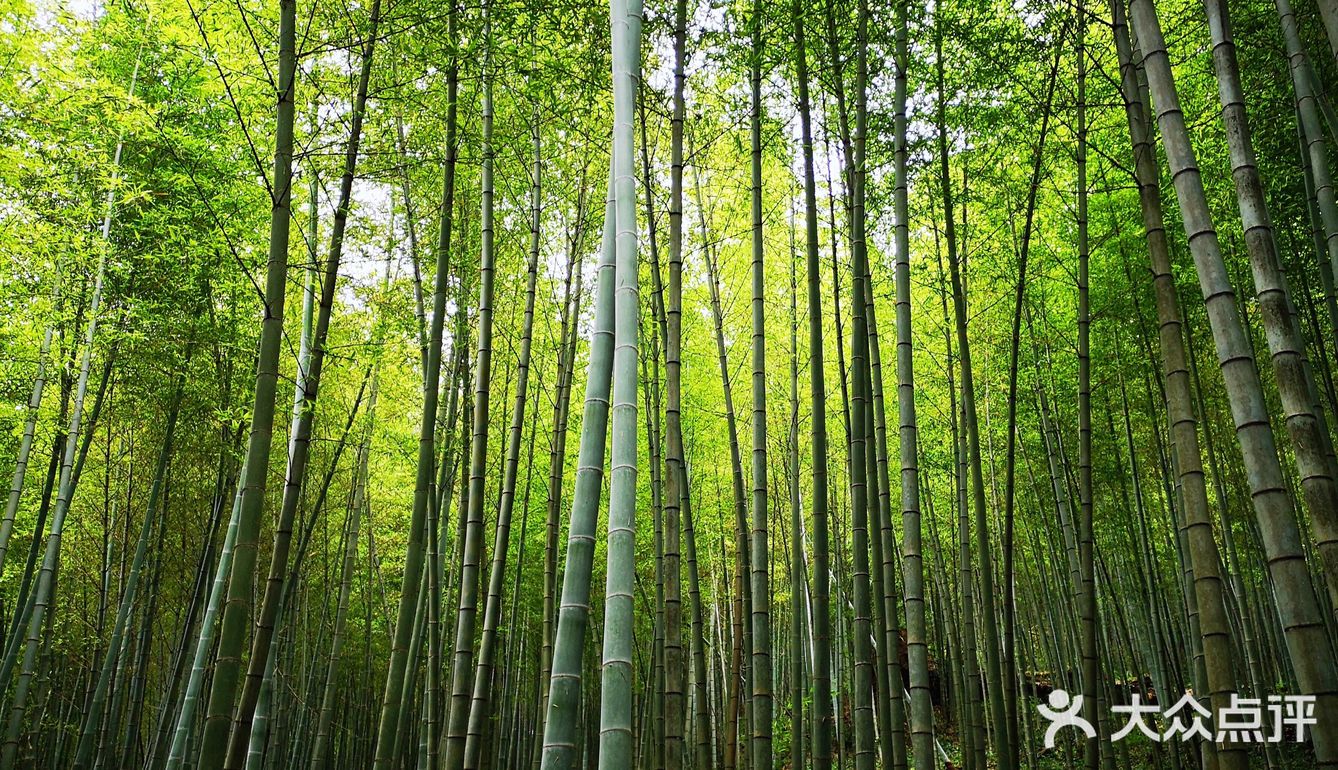 广州游攻略｜自驾游的石门国家森林公园