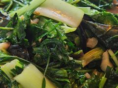 -洞背山庄(洞背院区式管理小区店)