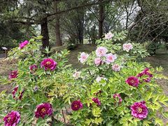 -国家植物园南园