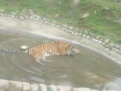 -西安秦岭野生动物园