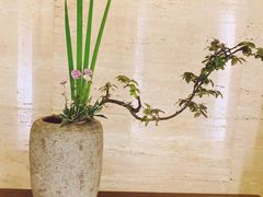 -九华山聚龙大酒店