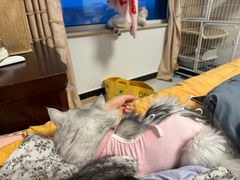 -达爱动物医院·犬猫分区·CT·复杂眼科(远洋山水分院)