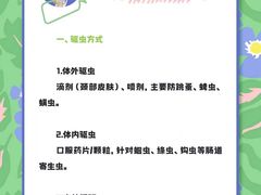 -瑞派天使宠物医院·神经外科·骨科·核磁CT(洛川中路店)
