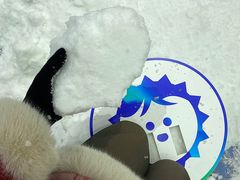 -冰纷万象滑冰场(沈阳万象城店)