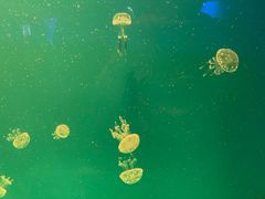 -福州罗源湾海洋世界旅游区