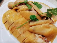 正宗白切鸡-巫记鸡饭店
