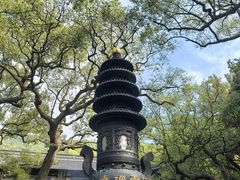 -普陀山风景名胜区-法雨禅寺