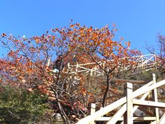 -水峪民俗村