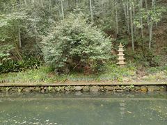 -杭州植物园