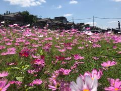 -木洞河街