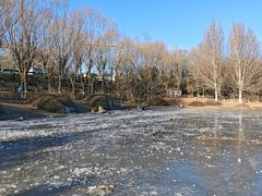 -云岗森林公园