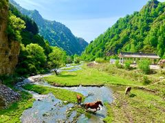-五台山风景名胜区