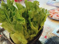 -石记东北风味烤肉(系马桩第二分店)