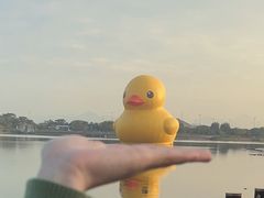 -深圳湾公园(南山区)