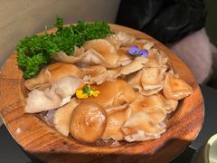 -季季山·云南野生菌火锅(上海首店)