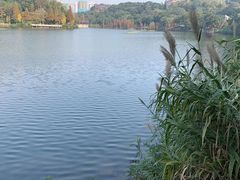 -重庆彩云湖湿地公园