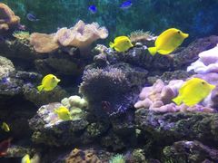 -多彩贵州城极地海洋世界