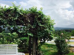 景点-黄色小屋