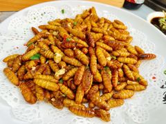 -凯盈阁私房菜·桑拿鸡(绿茵花园店)