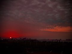 -春花秋色城市公园