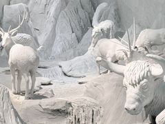 -中国湿地博物馆