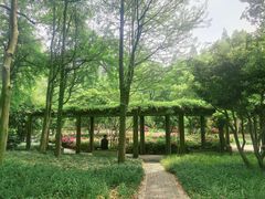 -徐家汇源景区-衡山公园