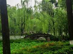 -桂湖森林公园
