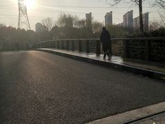 -九里河湿地公园