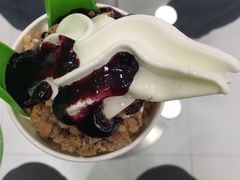 -Salud撒露欧洲冻酸奶(北苑上品店)
