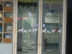 -荣耀金沙动物医院(清江西路店)