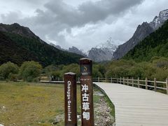 -稻城亚丁景区-冲古草甸