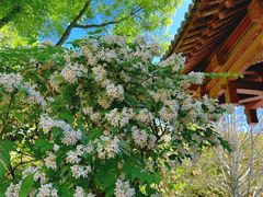 -碑林公园