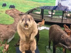 -郑州自然博物馆(惠济区)