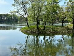 -贡湖湾湿地公园