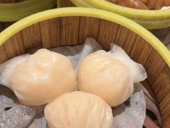 -东方早茶 海鲜•青岛菜(国信体育中心店)