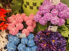 -长江路历史文化街区