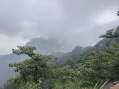 -王顺山国家森林公园