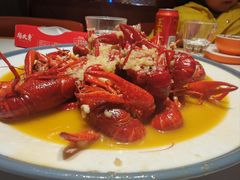 -杨氏青龙虾·羊蝎子(托乐嘉店)